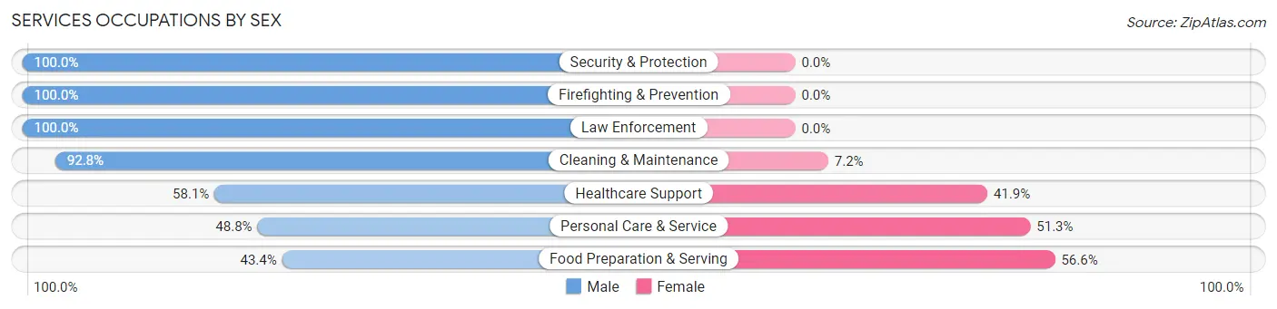 Services Occupations by Sex in Zip Code 25702