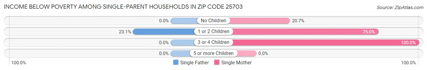 Income Below Poverty Among Single-Parent Households in Zip Code 25703