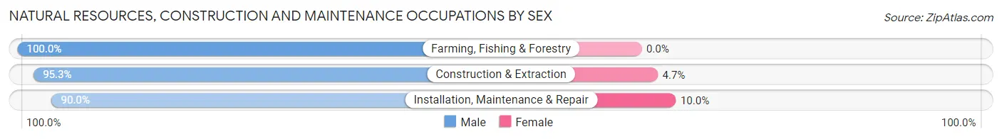 Natural Resources, Construction and Maintenance Occupations by Sex in Zip Code 25704