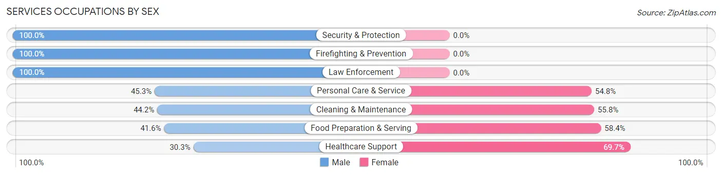 Services Occupations by Sex in Zip Code 25705