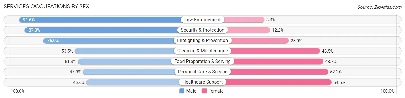 Services Occupations by Sex in Zip Code 25801