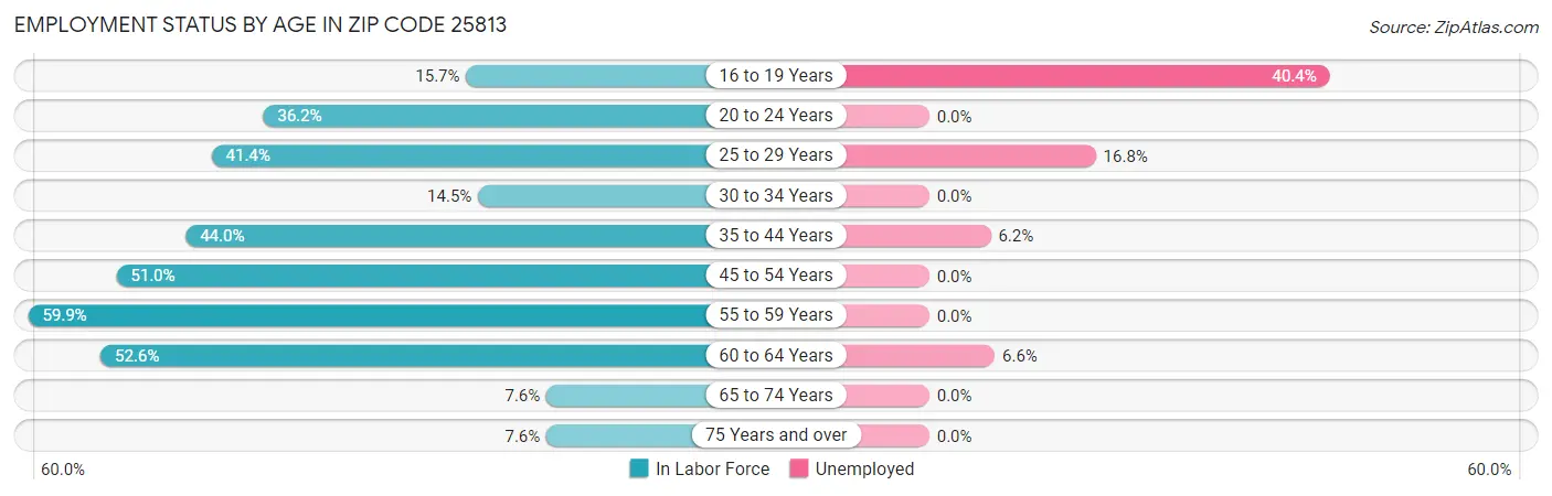 Employment Status by Age in Zip Code 25813