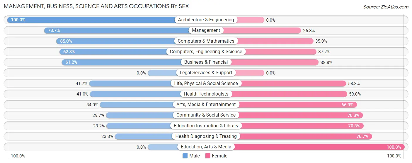 Management, Business, Science and Arts Occupations by Sex in Zip Code 25813