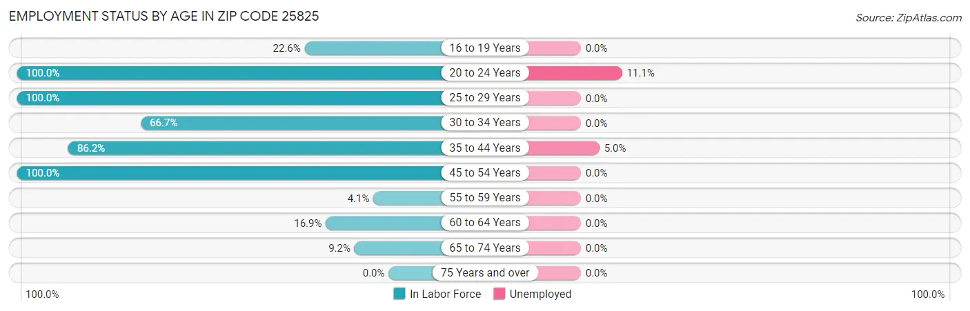 Employment Status by Age in Zip Code 25825