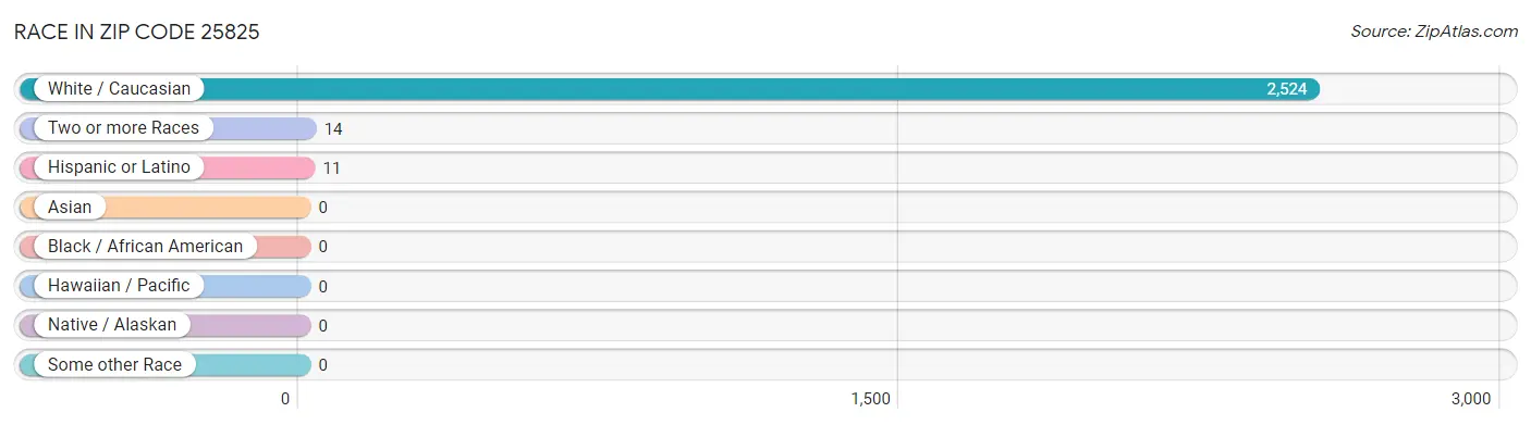Race in Zip Code 25825