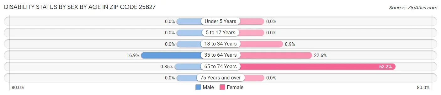 Disability Status by Sex by Age in Zip Code 25827