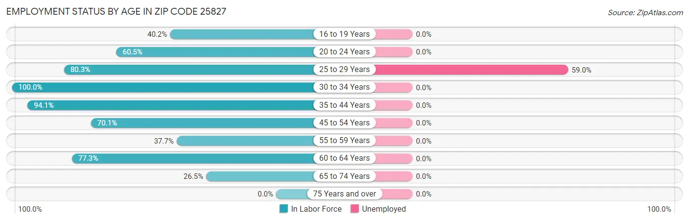 Employment Status by Age in Zip Code 25827