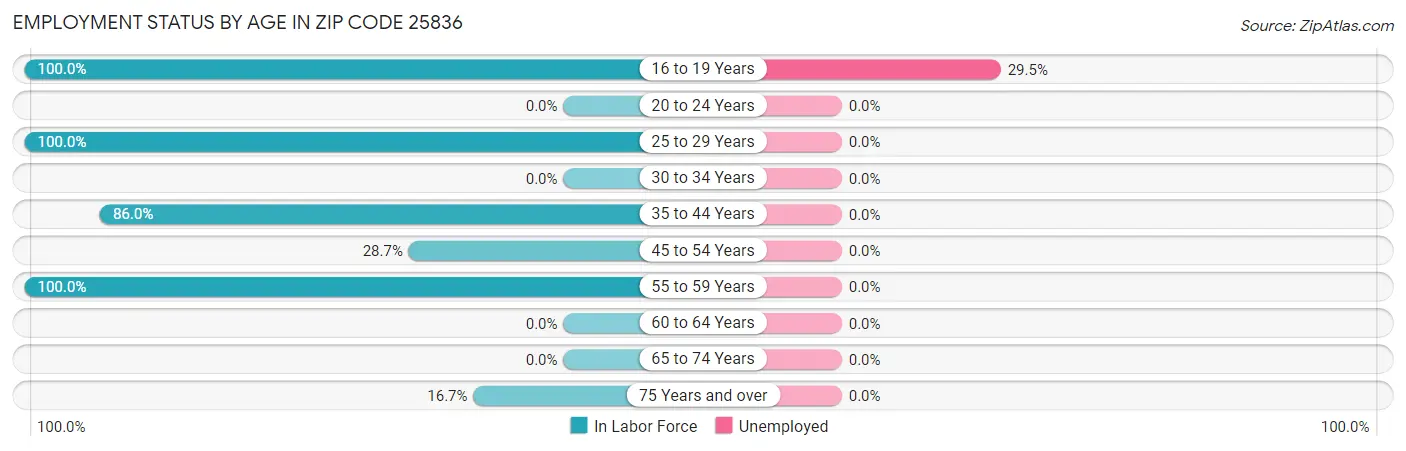 Employment Status by Age in Zip Code 25836