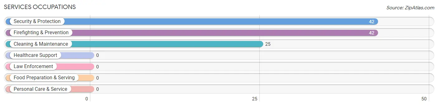 Services Occupations in Zip Code 25837