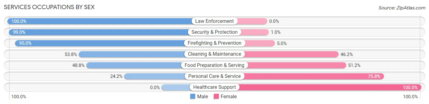 Services Occupations by Sex in Zip Code 25840
