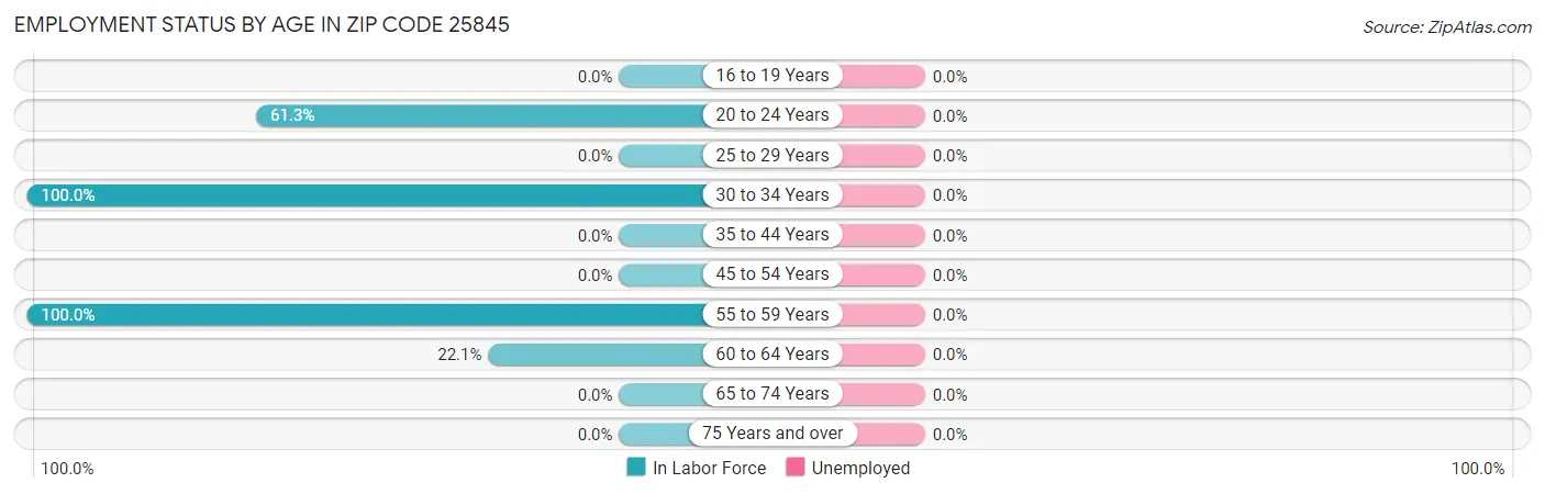 Employment Status by Age in Zip Code 25845