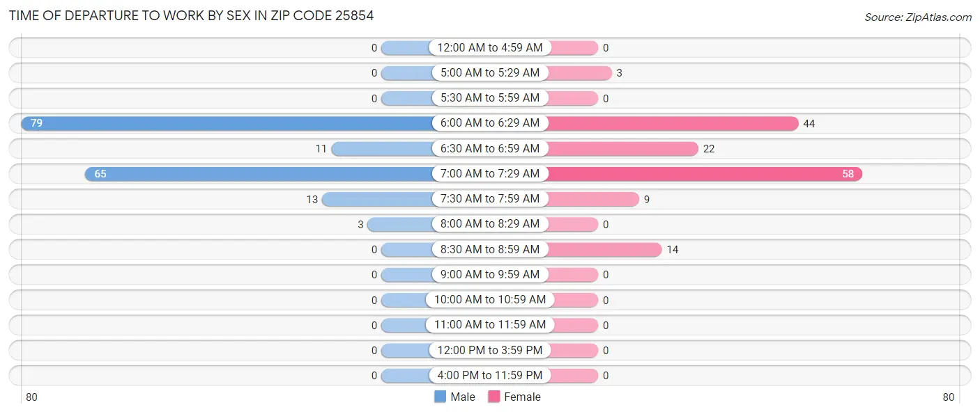 Time of Departure to Work by Sex in Zip Code 25854