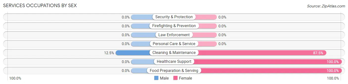 Services Occupations by Sex in Zip Code 25865