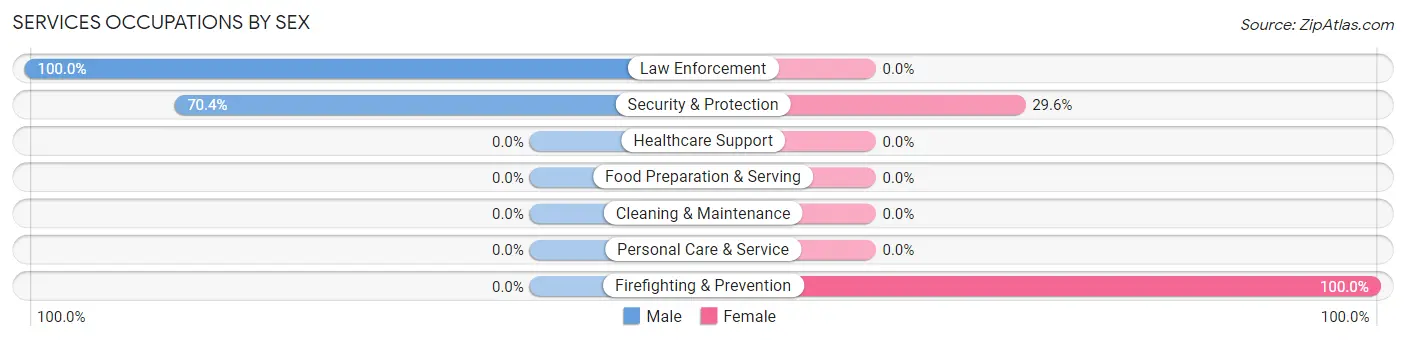Services Occupations by Sex in Zip Code 25868