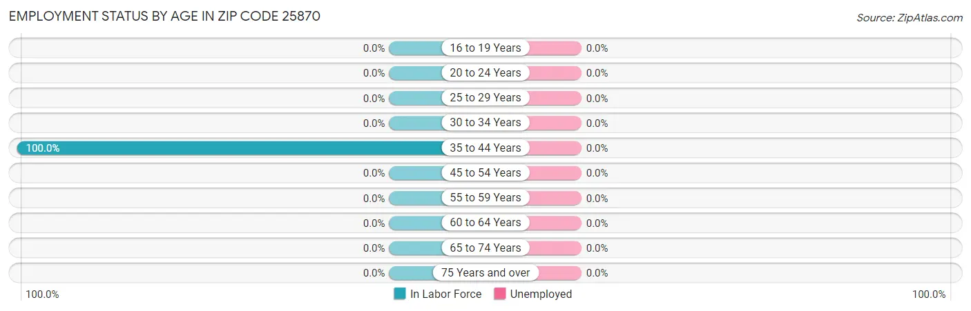 Employment Status by Age in Zip Code 25870