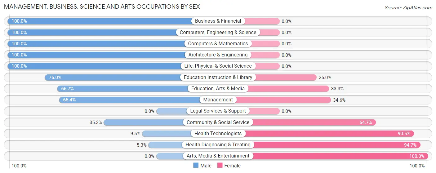 Management, Business, Science and Arts Occupations by Sex in Zip Code 25871