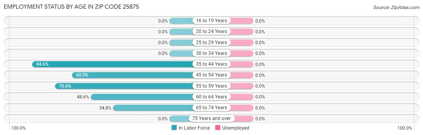Employment Status by Age in Zip Code 25875