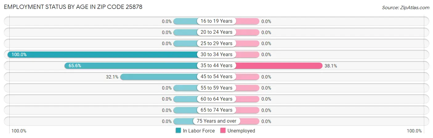 Employment Status by Age in Zip Code 25878