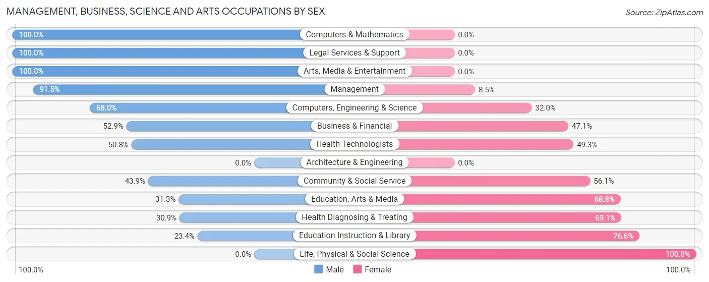 Management, Business, Science and Arts Occupations by Sex in Zip Code 25880