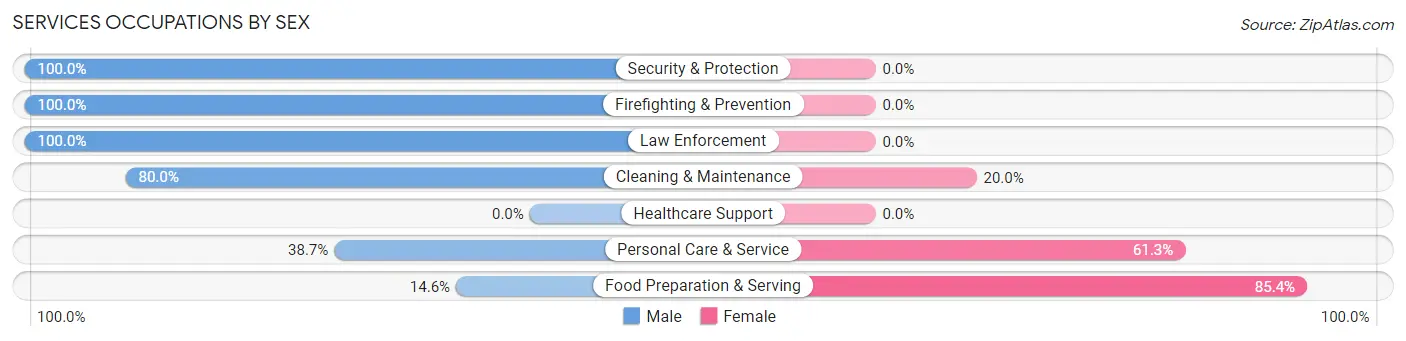 Services Occupations by Sex in Zip Code 25880