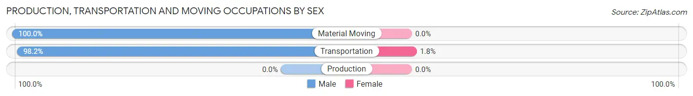 Production, Transportation and Moving Occupations by Sex in Zip Code 25882