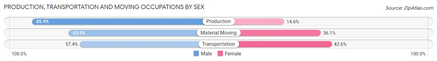 Production, Transportation and Moving Occupations by Sex in Zip Code 25901