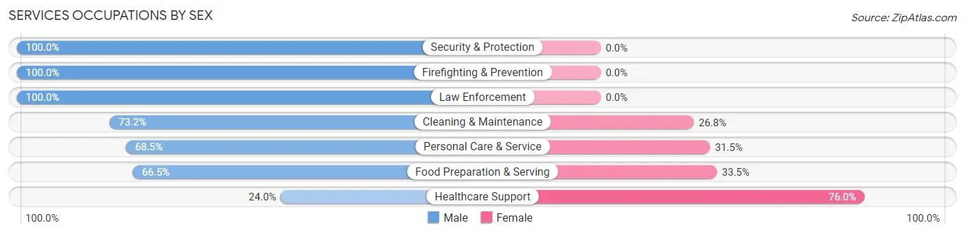 Services Occupations by Sex in Zip Code 25901