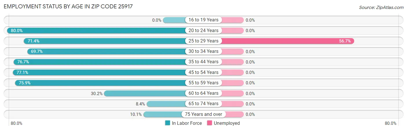 Employment Status by Age in Zip Code 25917