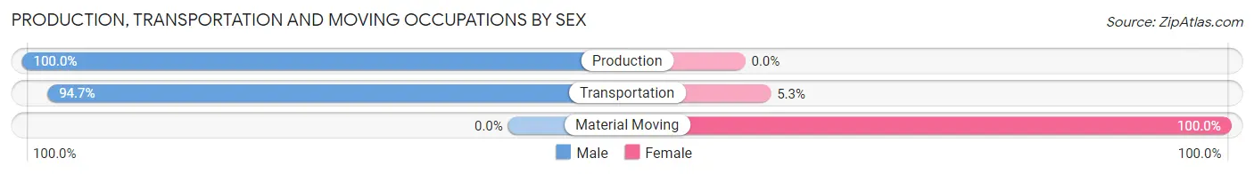 Production, Transportation and Moving Occupations by Sex in Zip Code 25938