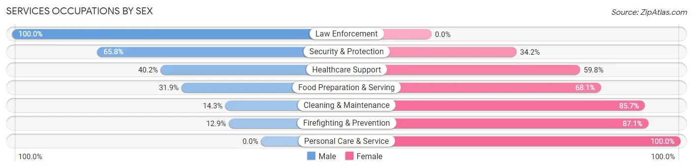 Services Occupations by Sex in Zip Code 25951