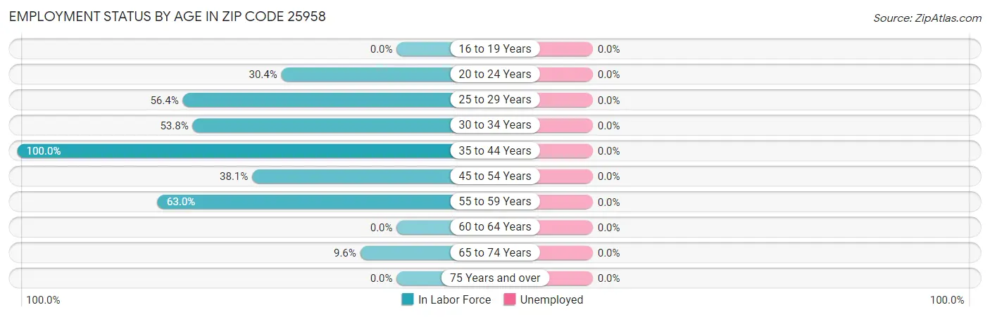 Employment Status by Age in Zip Code 25958