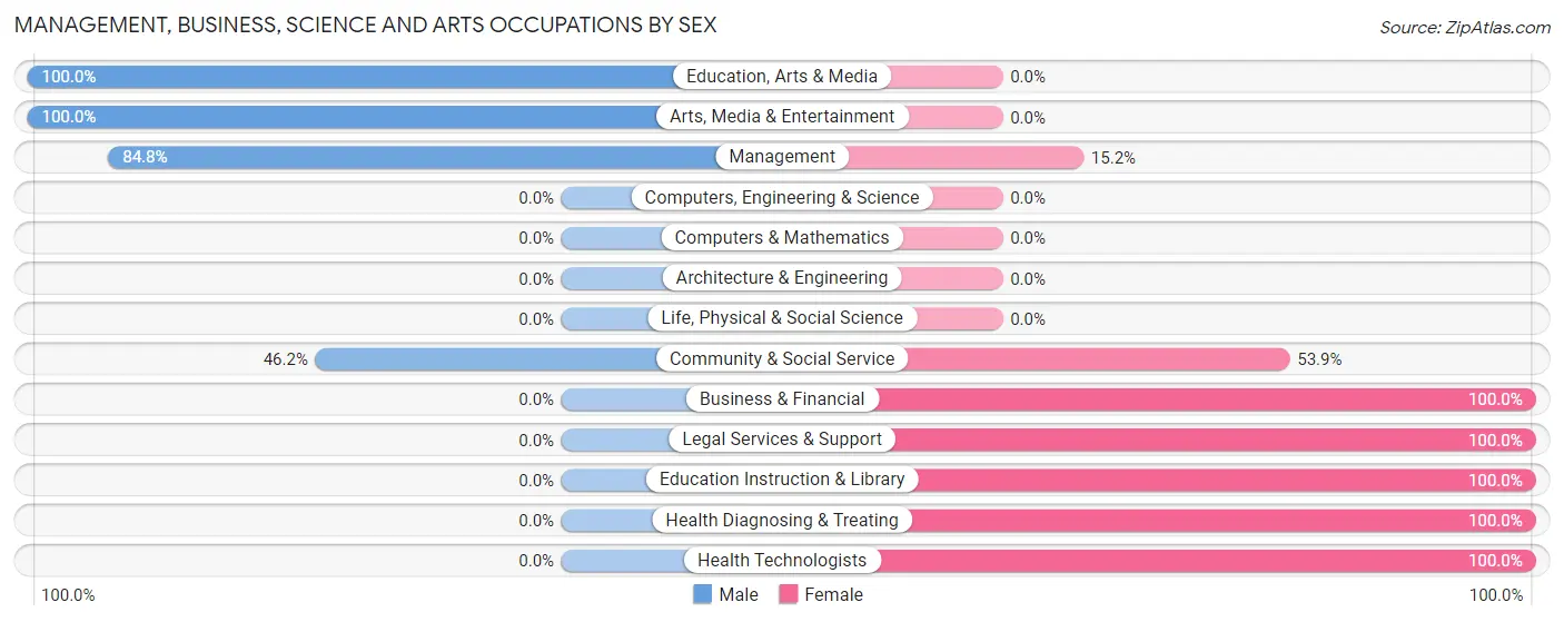 Management, Business, Science and Arts Occupations by Sex in Zip Code 25969