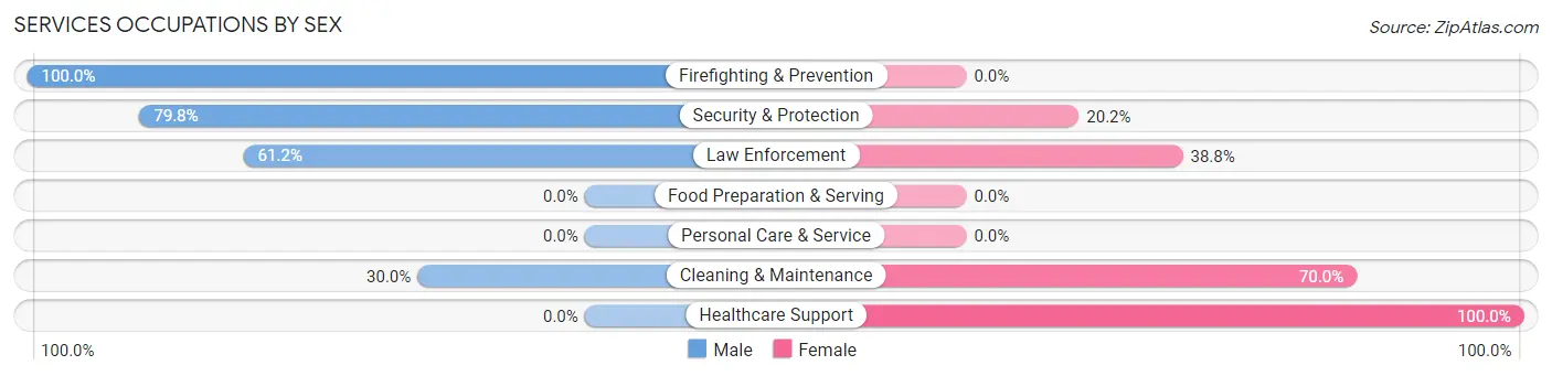 Services Occupations by Sex in Zip Code 25969