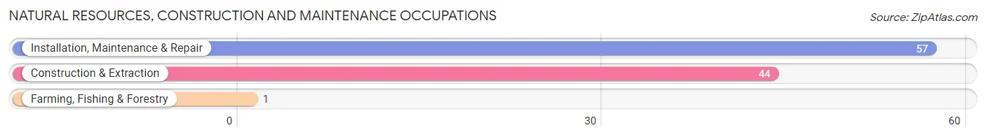 Natural Resources, Construction and Maintenance Occupations in Zip Code 25976