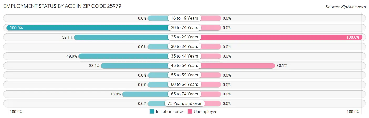 Employment Status by Age in Zip Code 25979