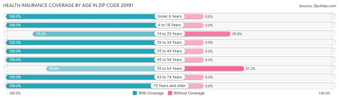 Health Insurance Coverage by Age in Zip Code 25981