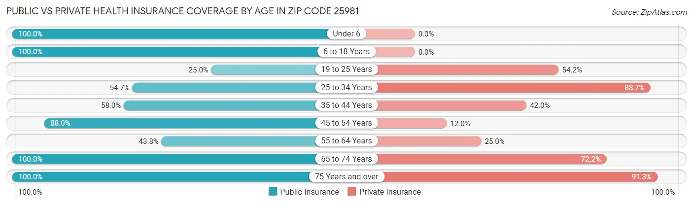 Public vs Private Health Insurance Coverage by Age in Zip Code 25981