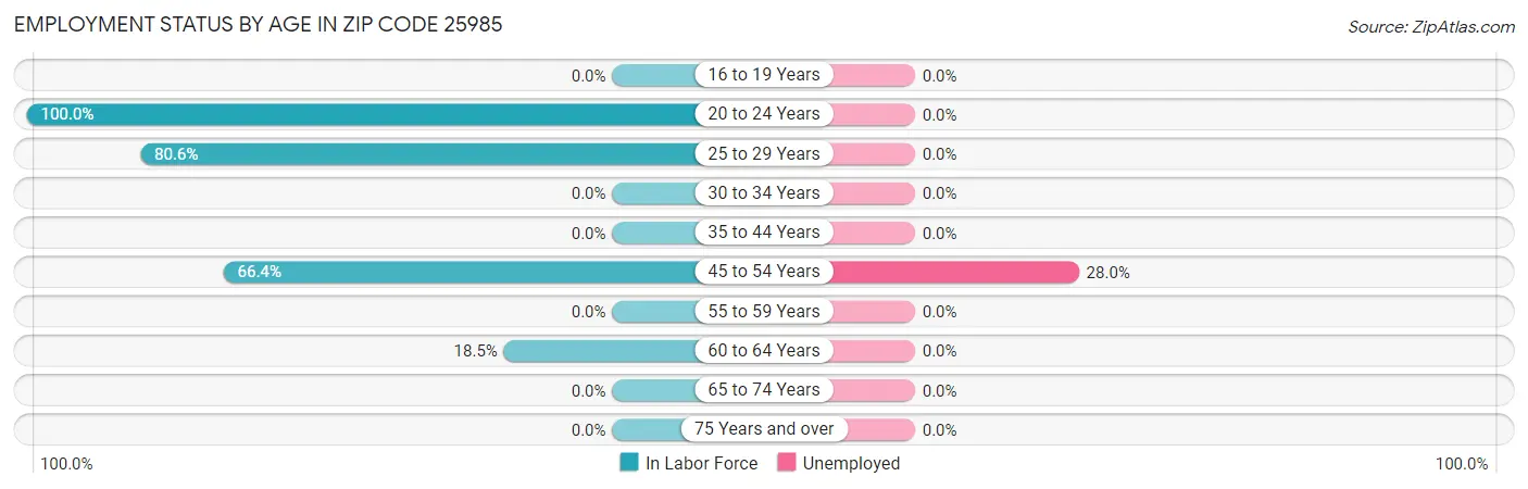 Employment Status by Age in Zip Code 25985