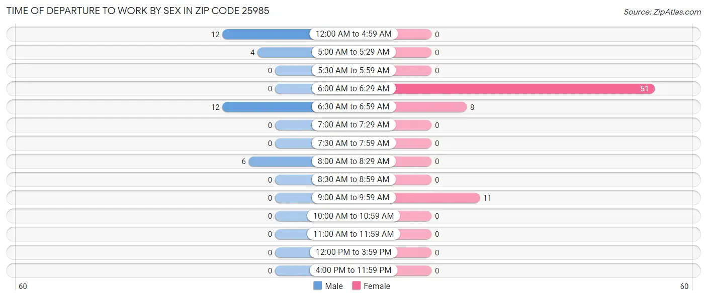 Time of Departure to Work by Sex in Zip Code 25985