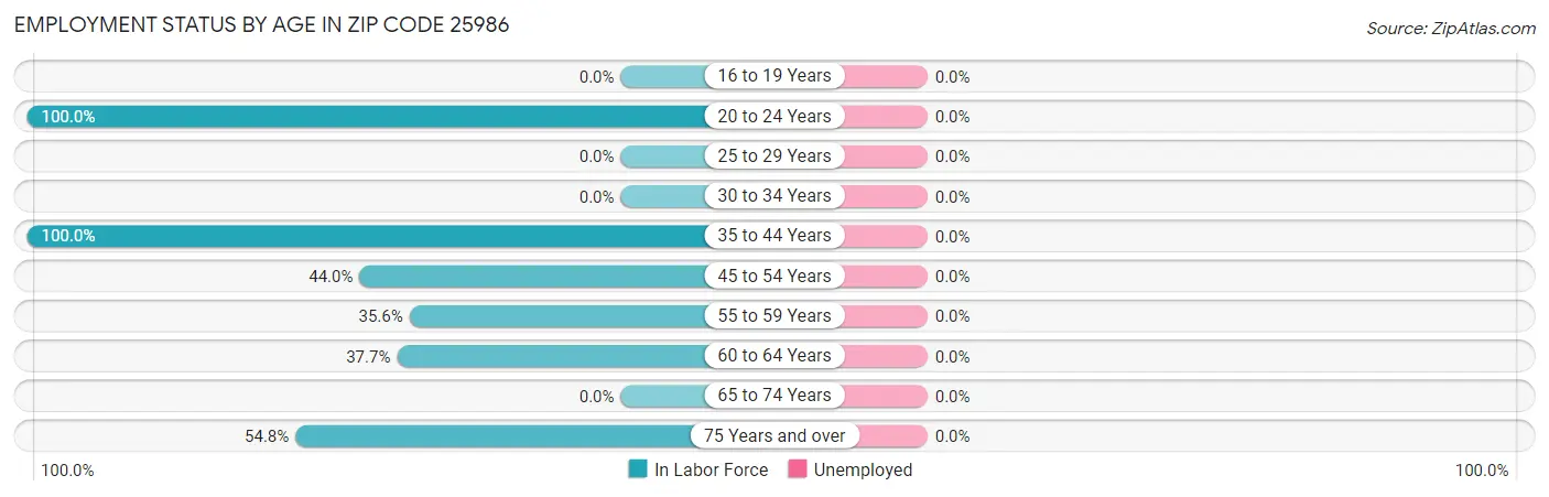 Employment Status by Age in Zip Code 25986