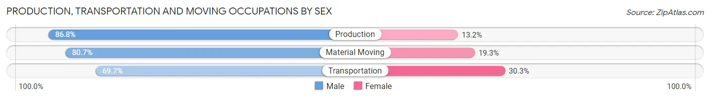 Production, Transportation and Moving Occupations by Sex in Zip Code 26031