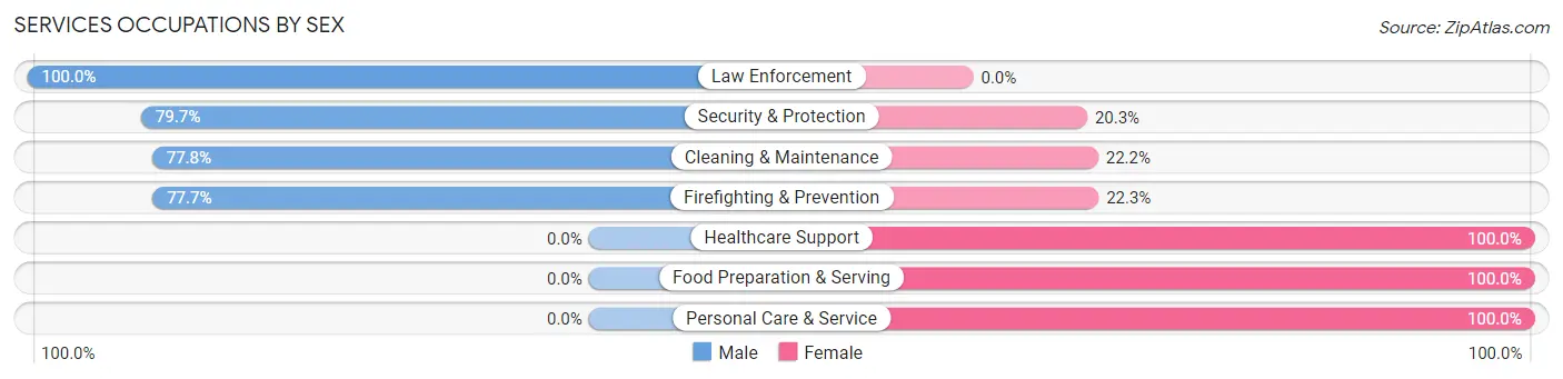 Services Occupations by Sex in Zip Code 26034