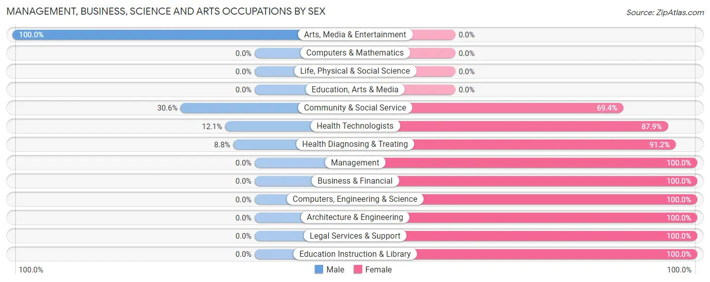 Management, Business, Science and Arts Occupations by Sex in Zip Code 26035
