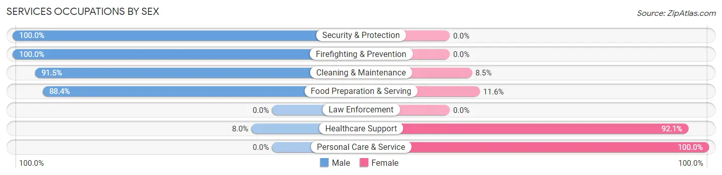 Services Occupations by Sex in Zip Code 26037