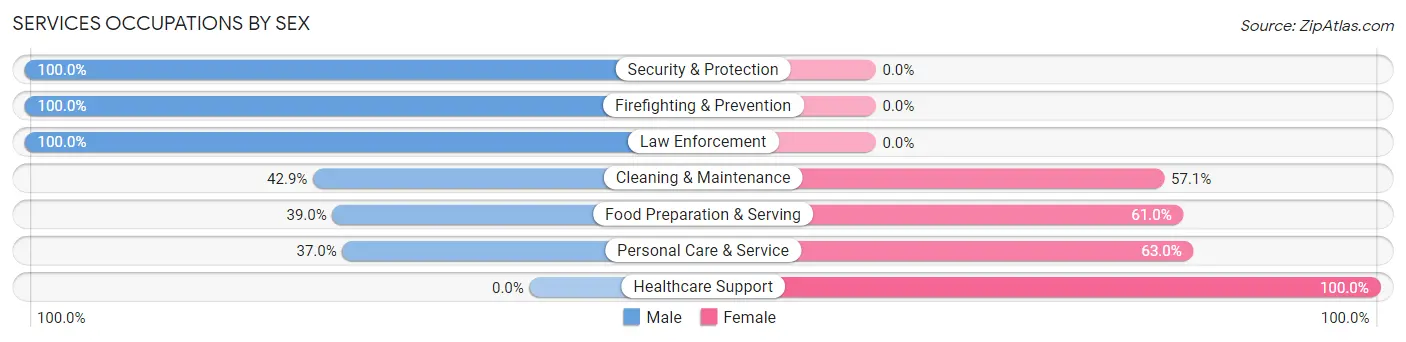 Services Occupations by Sex in Zip Code 26038