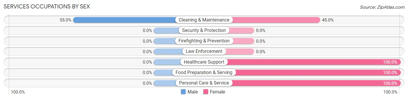 Services Occupations by Sex in Zip Code 26040