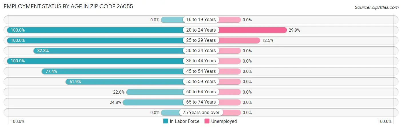 Employment Status by Age in Zip Code 26055