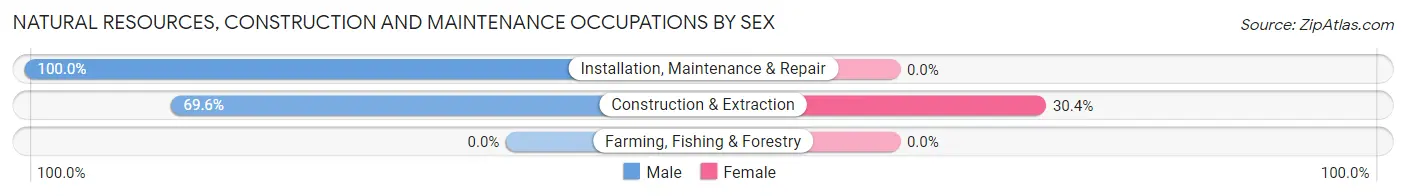 Natural Resources, Construction and Maintenance Occupations by Sex in Zip Code 26059