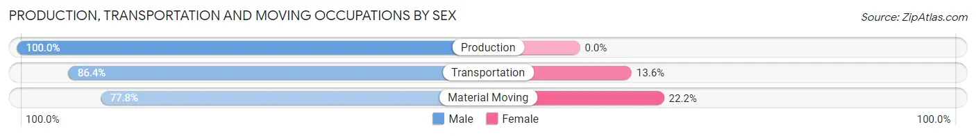 Production, Transportation and Moving Occupations by Sex in Zip Code 26059