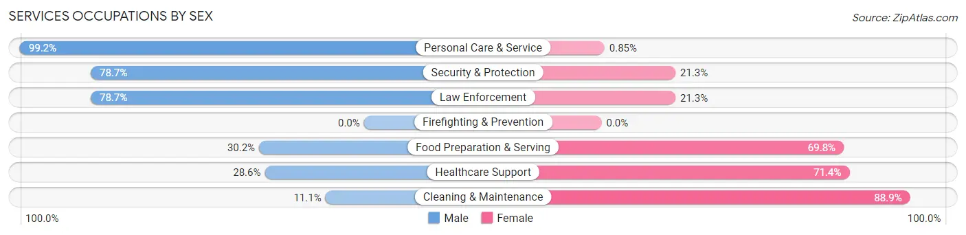 Services Occupations by Sex in Zip Code 26060